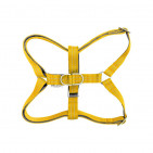 BBR-DH-ACTIVE-YELLOW-M-NL